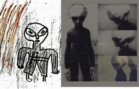 Drawing Of The Ruwa Zimbabwe School Encounter Alien Compared To The