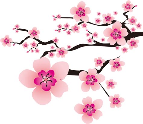 14 Animasi Bunga Sakura Png