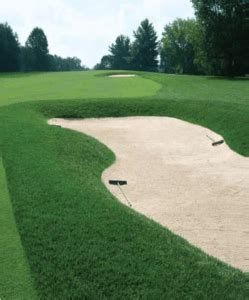 Some have suggested removing a layer of soil and replace it with new dirt. Bermudagrass vs. Tall Fescue: Differences Between These ...