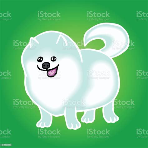 Pomeranian Spitz Anjing Lucu Ilustrasi Vektor Ilustrasi Stok Unduh