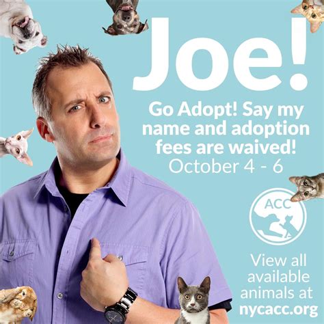 Animal Care Centers Of Nyc Acc Partners With Impractical Jokers Joe