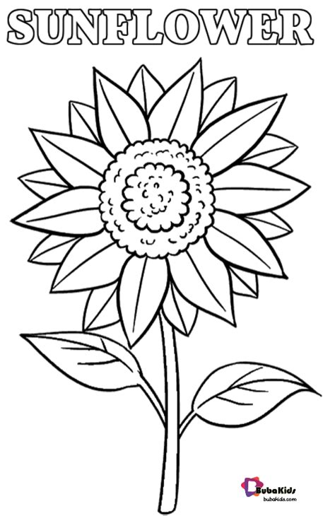 Free Printable Sunflower Coloring Pages For Use In Your Classroom Or