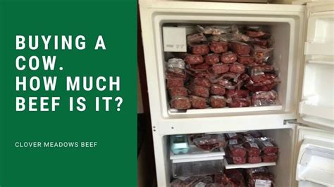 We did not find results for: Buying a Cow. How Much Beef Is It and How Much Freezer ...