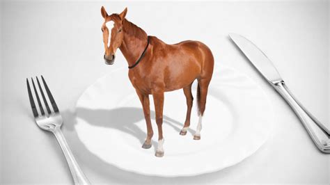 With every single prosecution brought under the coronavirus act up to the end of march 2021 having failed, surely it is time for the act to be scrapped. Are You Eating Horse? Europe's Growing Horse Meat Scandal ...