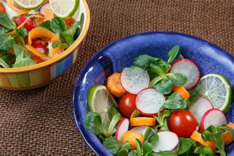 Bowls Of Fresh Vegetable Salad Stock Image Image Of Meal Bowl 65934825