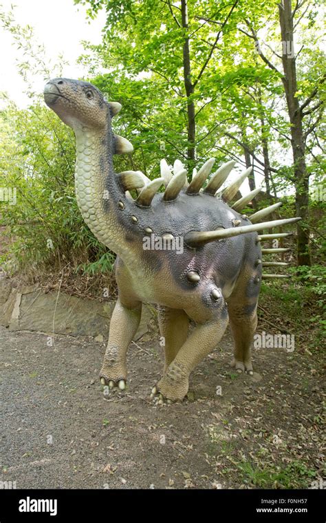 Kentrosaurus Extinct Stegosaurian Dinosaur Of Late Jurassic In Tanzania
