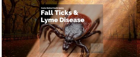 Maryland Ticks Fall Lyme Disease Risk Still High Eye On Annapolis