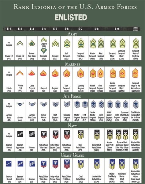 Rank Structure And Insignia Of Enlisted Military Personnel All