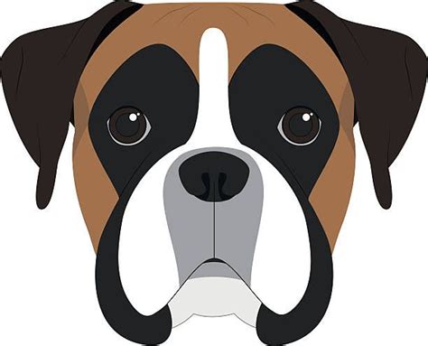 Royalty Free Boxer Dog Clip Art Vector Images And Illustrations Istock