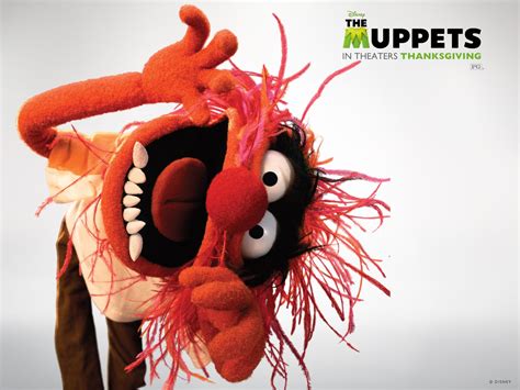 Beaker Muppets Wallpaper Free Download The Muppets The Muppet Show