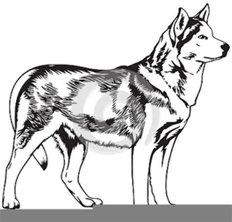 Download High Quality Husky Clipart Dog Transparent Png Images Art
