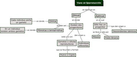 Mapa Conceptual Tipos De Reproducción