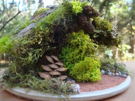 All Natural Village 3 Fairy House Kits Deluxe W By Fairyhouse