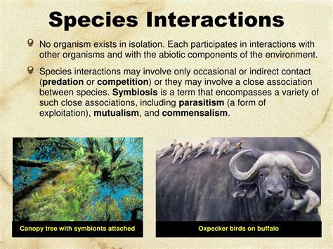 Species Interactions Worksheet