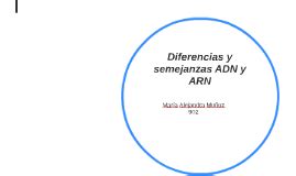 Diferencias Y Semejanzas Adn Y Arn By Alejandra Medina On Prezi