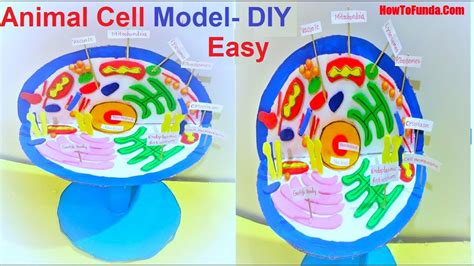 How To Make A Simple Plant Cell Model For School