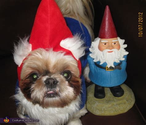 Travelocity Gnome Costume For Dogs Photo 44
