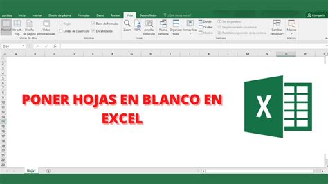 Cómo Dejar En Blanco La Hoja De Excel Aprender Excel