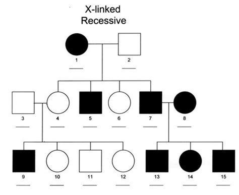 Inheritance Patterns Of Orthopaedic Syndromes Basic Science