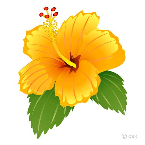 Download High Quality Hibiscus Clipart Yellow Transparent