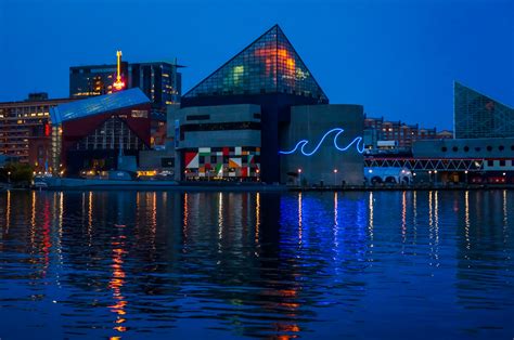 Review Of The National Aquarium Baltimore Inner Harbor