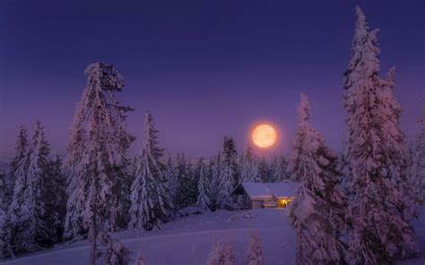 Full Moon On A Winter Night Hd Wallpaper Background Image 1920x1200