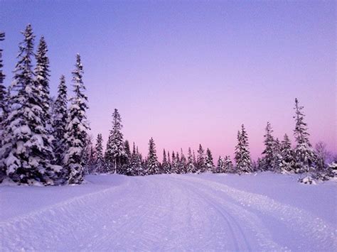 8 Reasons To Love Winter In Norway Beautiful Winter