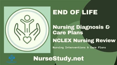 End Of Life Nursing Diagnosis And Nursing Care Plan Nursestudynet