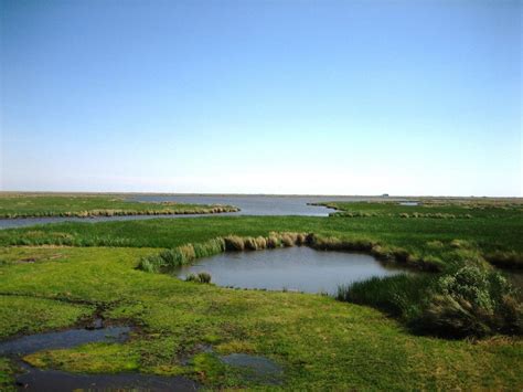 Lake Pontchartrain Basin Foundation