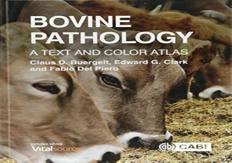 Ppt Pdf Bovine Pathology A Text And Color Atlas Kindle Powerpoint