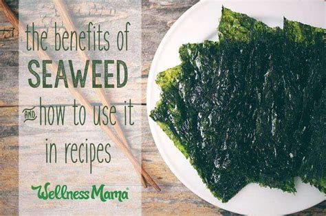 The Benefits Of Seaweed And When To Avoid It Wellness Mama