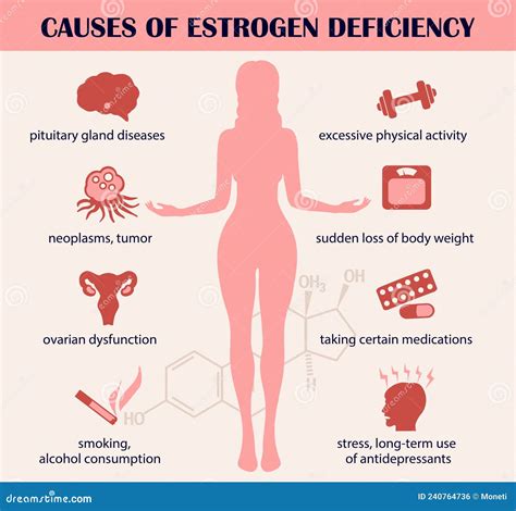 Causes Of Estrogen Deficiency Infographics Estrogen Hormone Concept Vector Illustration Stock