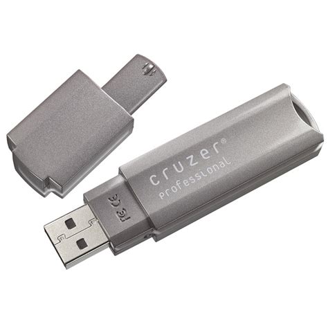Shop Sandisk 4gb Cruzer Professional Usb Flash Drive On Sale Free