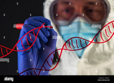 Genetic Engineering Hi Res Stock Photography And Images Alamy