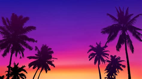 Sunset Purple Tree Photography