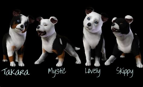 1st Litter With Cooper And Grace On Sims 3 Pets By Spiritythedragon On