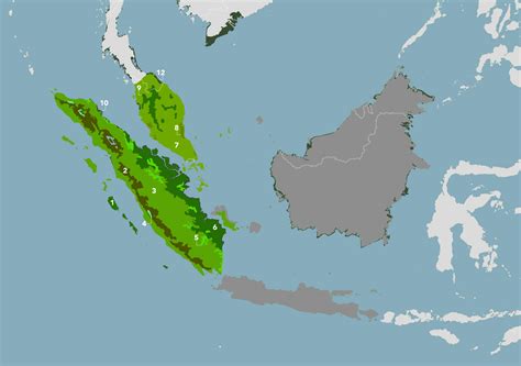 Peninsular Malaysian And Sumatran Tropical Rainforests Im18 One Earth