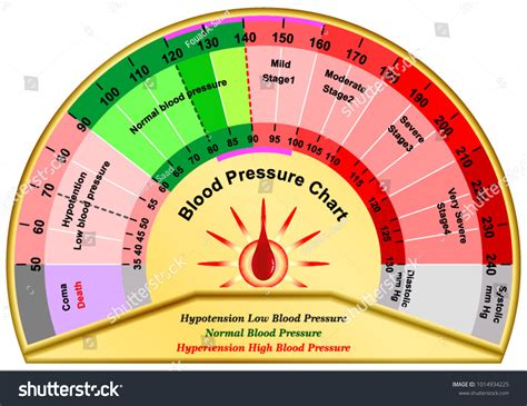3311 Blood Pressure Chart Images Stock Photos And Vectors Shutterstock
