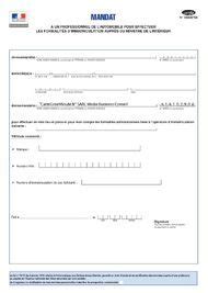 Procuration Mandat D Immatriculation Avec Le Document Cerfa Hot