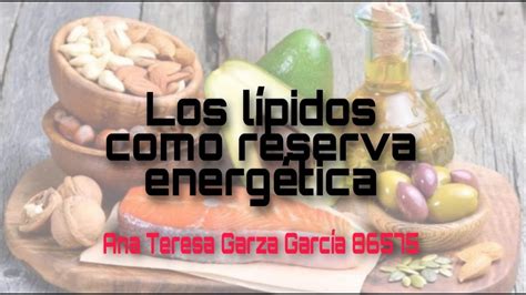 Los Lípidos Como Reserva Energética Ana Teresa Garza García 86575