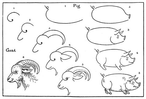 How To Draw Animals Pigs Goats The Graphics Fairy