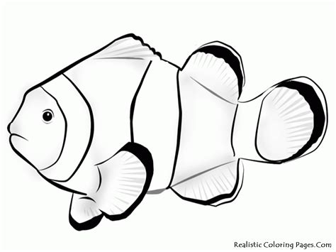 Free printable flying fish coloring page for kids to download, finding nemo coloring pages Clownfish Coloring Page - Coloring Home