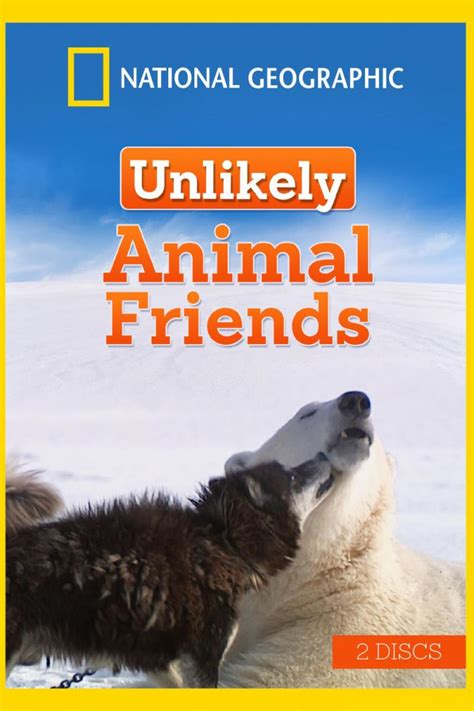 Unlikely Animal Friends 2012 Filmfed
