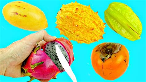 Unusual fruits from around the world. CUTTING OPEN SQUISHY EXOTIC FRUITS From Around The World ...