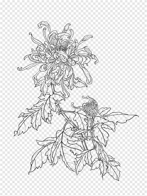 Black Spider Mums Flower Art Gongbi Manual Of The Mustard Seed Garden Painting Chrysanthemum