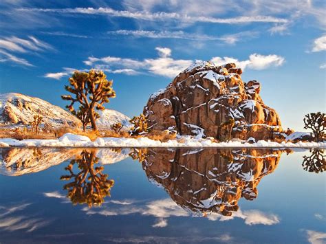 Joshua Tree National Park Usa Winter Snow Lake Cacti Rocks Blue Sky