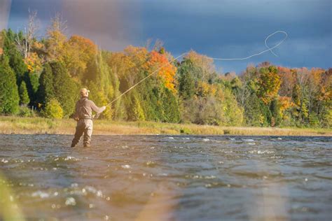 Fly Fishing The Roaring Fork River Cuvée