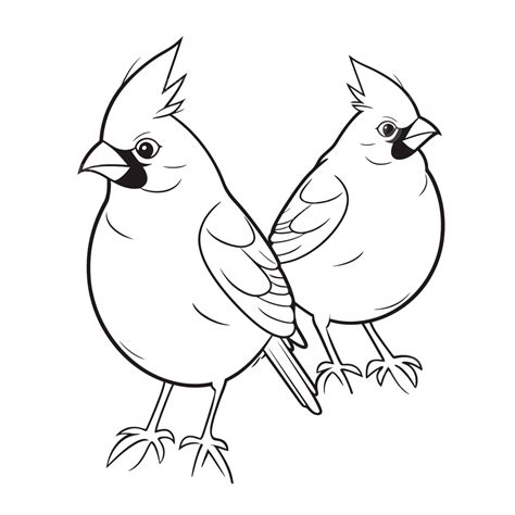 Two Cardinal Birds Coloring Pages Outline Sketch Drawing Vector Sexiz Pix