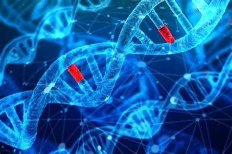 Mutation Definition And Types Missense Nonsense Deletion Insertion Etc