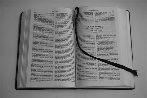 The Bible Free Stock Photo Public Domain Pictures